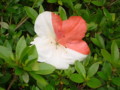 20130528062253