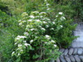 20130529080933