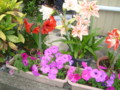 20130530064656