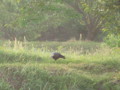 20130601070820