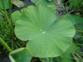 20130601070821