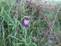 20130603060632