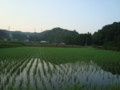 20130604065516