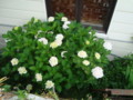 20130607081748