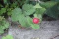 20130610084725