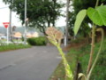 20130612065424