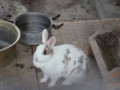 20130613061326