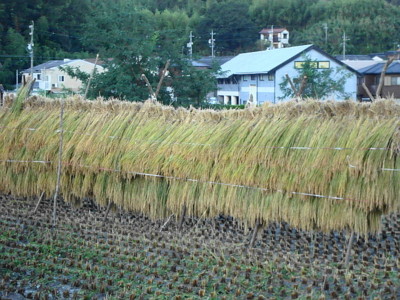 f:id:thiisuke:20130918052603j:image