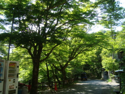 f:id:thiisuke:20150509064200j:image