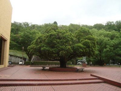 f:id:thiisuke:20150710065700j:image