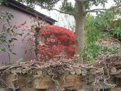 f:id:thiisuke:20151227053827j:image