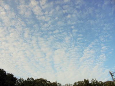 f:id:thiisuke:20180701082551j:image