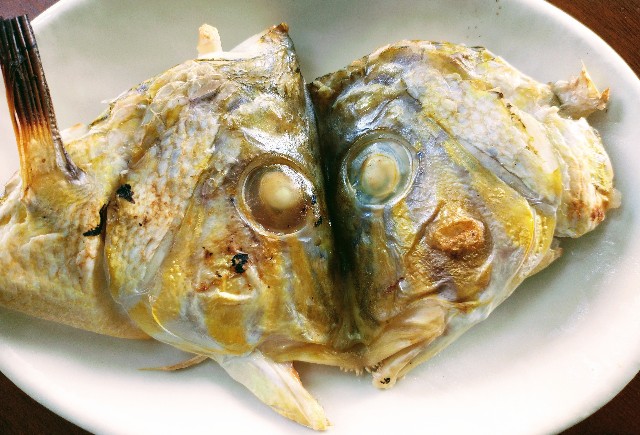 f:id:thinklessreaction:20220924175212j:image