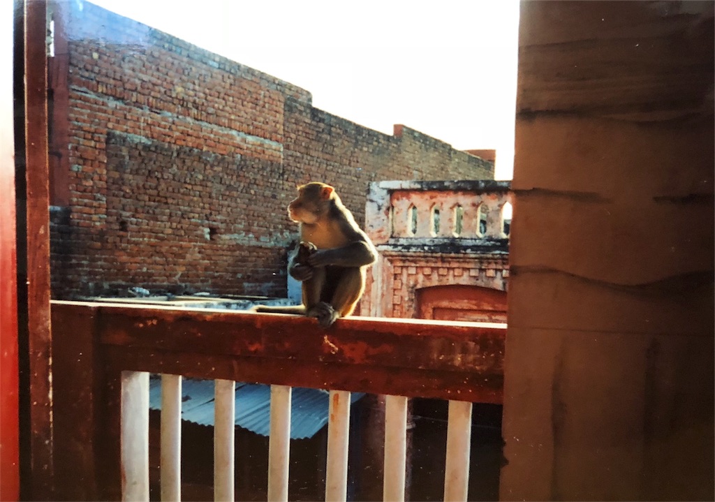 f:id:thinlinetele:20180603110745j:image f:id:thinlinetele:20180603110745j:image