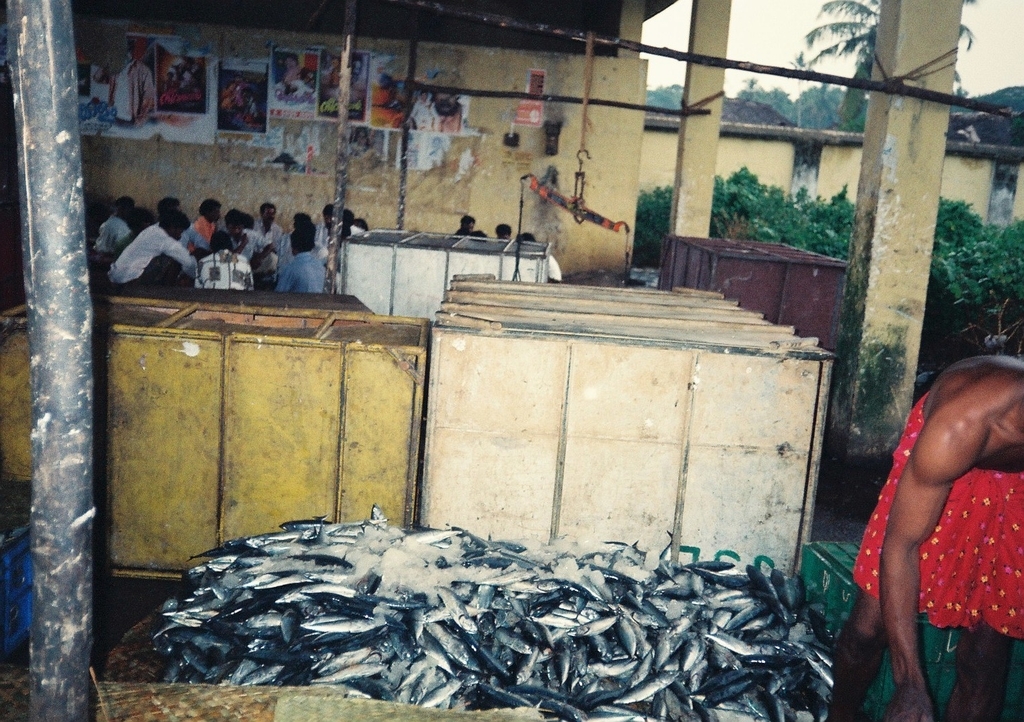 f:id:thinlinetele:20181123111918j:plain f:id:thinlinetele:20181123111918j:plain