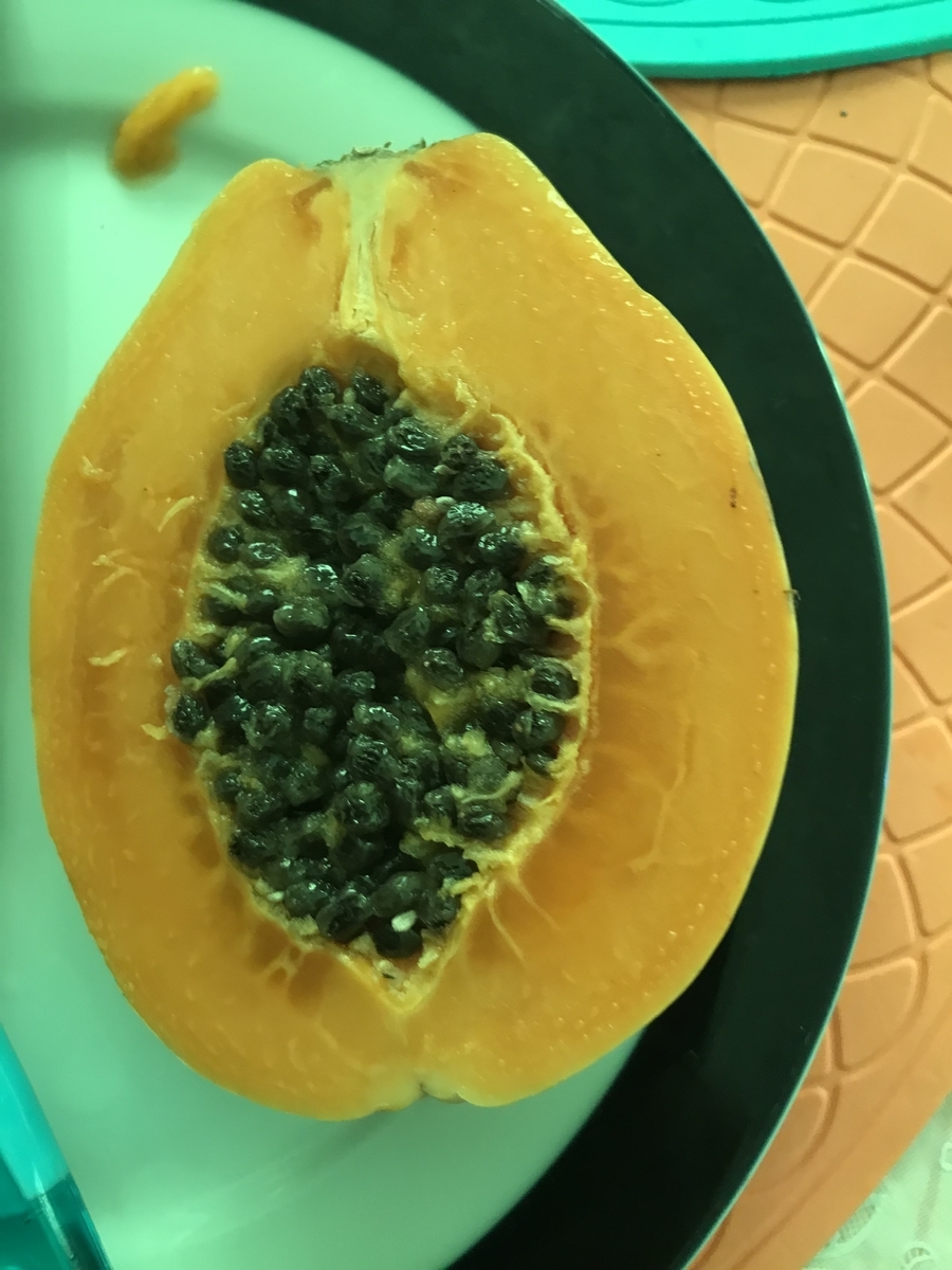 f:id:thirdseason:20190526192830j:plain