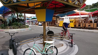 img0011.jpg