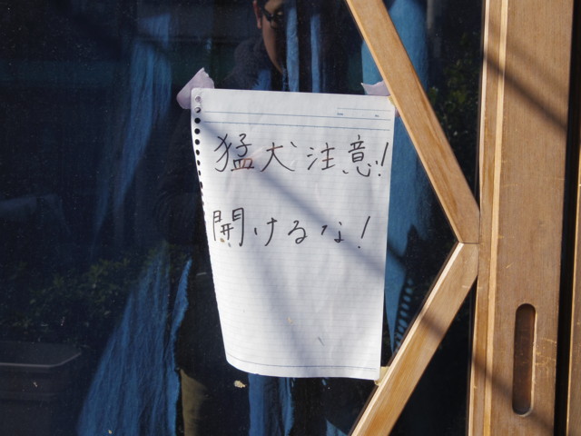 f:id:thiswholeworld:20130211135235j:image