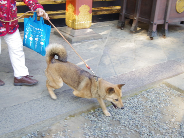 f:id:thiswholeworld:20130211144136j:image