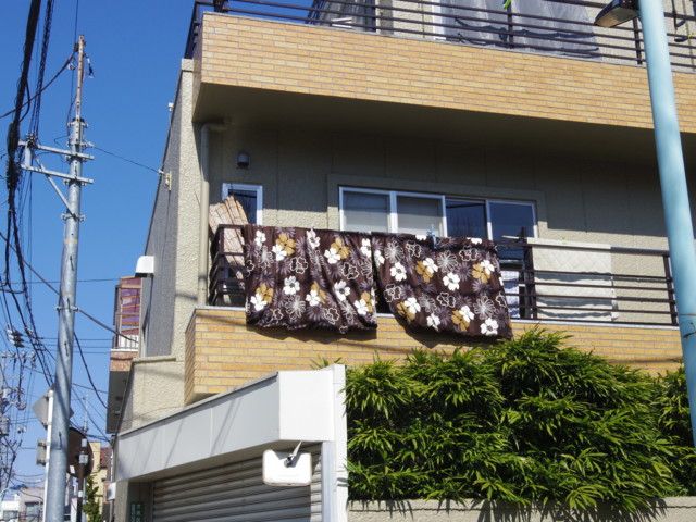 f:id:thiswholeworld:20130223114734j:image