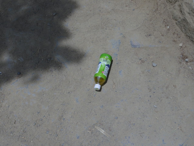 f:id:thiswholeworld:20130609121718j:image