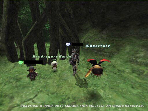 M9 1 死者の人形 ミスラン道中記 Finalfantasy11