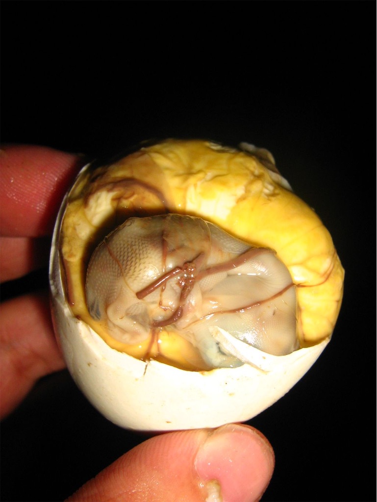 世界のぶっ飛んだ食べ物 Thitan Clubの日記