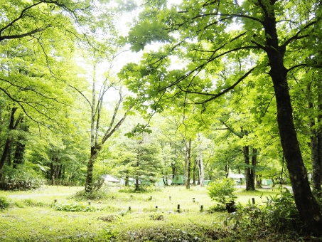 f:id:thnmsr:20190923153201j:plain f:id:thnmsr:20190923153201j:plain