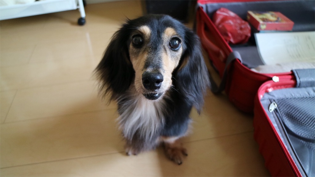 f:id:thoth-kanako:20160812151408j:image