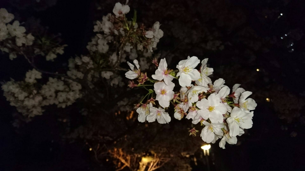 f:id:thousandgrass:20170417203754j:plain