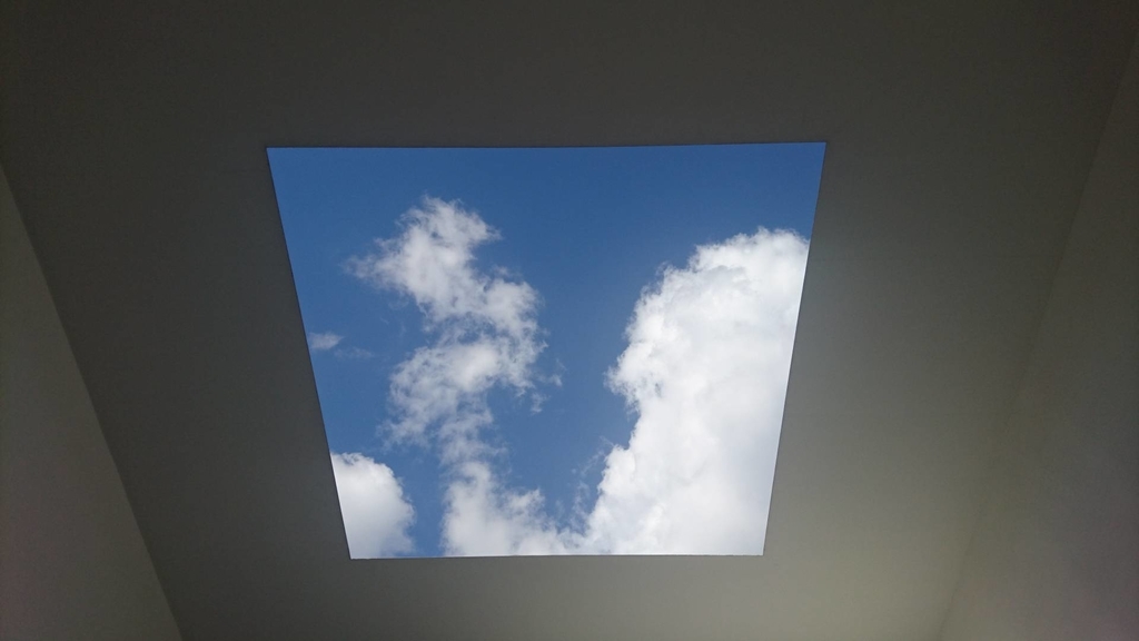 f:id:thousandgrass:20181128013640j:plain