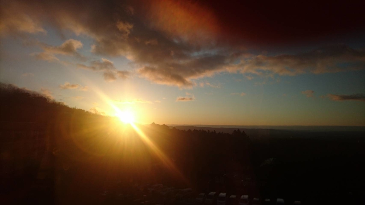 f:id:thousandgrass:20200111175503j:plain