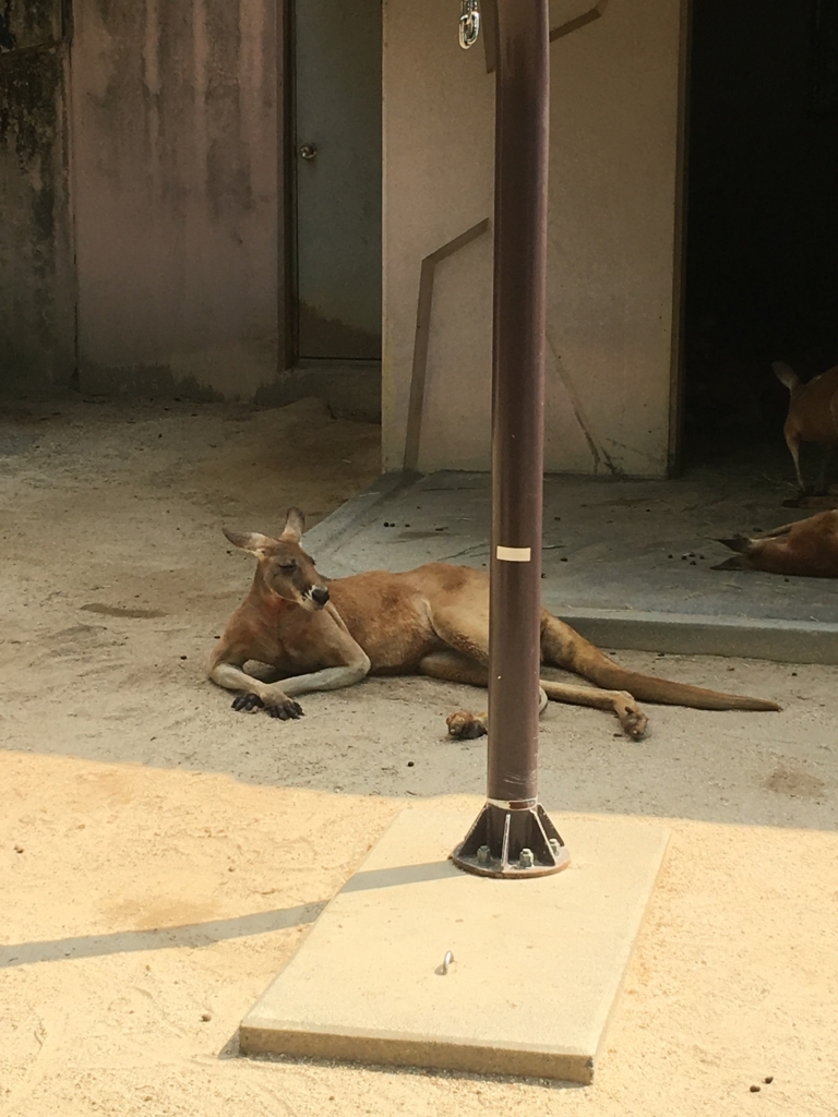 f:id:thr3a:20180715091721j:plain f:id:thr3a:20180715091721j:plain