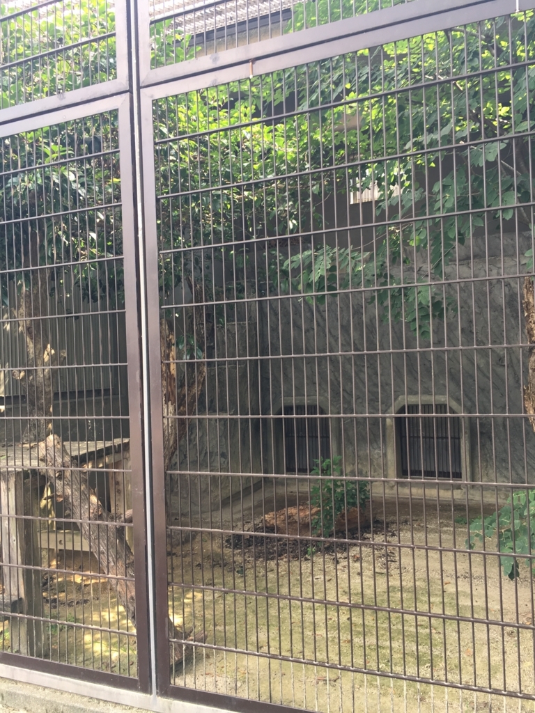 f:id:thr3a:20180715092245j:plain f:id:thr3a:20180715092245j:plain