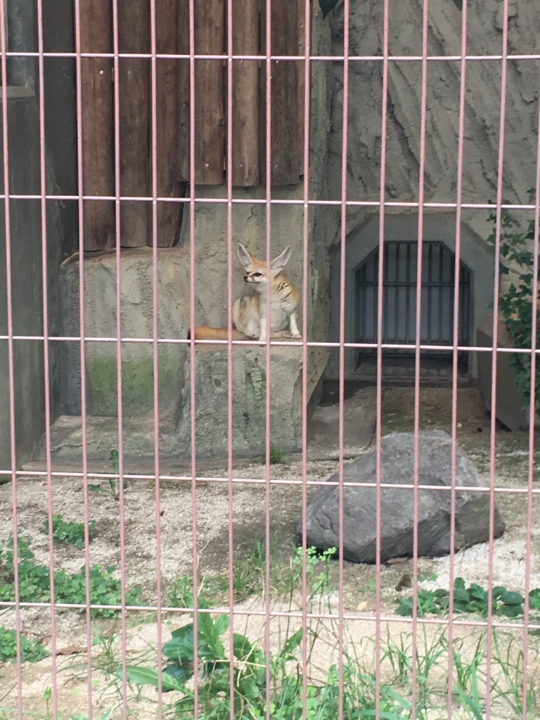 f:id:thr3a:20180715092654j:plain f:id:thr3a:20180715092654j:plain