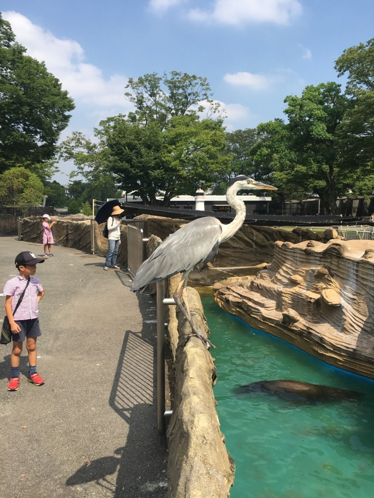 f:id:thr3a:20180715092946j:plain f:id:thr3a:20180715092946j:plain