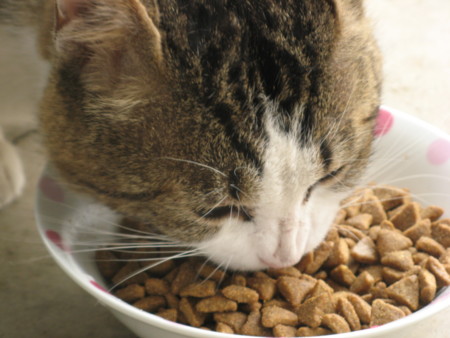 f:id:three-gremlins:20120523165255j:image