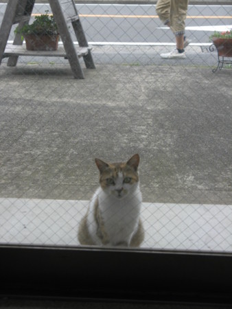 f:id:three-gremlins:20120622145740j:image:w360