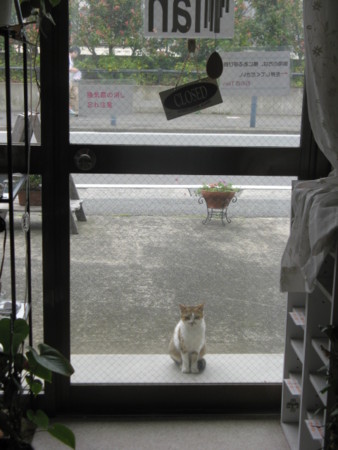 f:id:three-gremlins:20120622145903j:image:w360