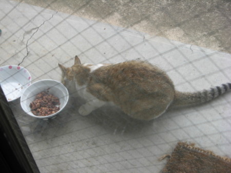 f:id:three-gremlins:20120622150426j:image:w360