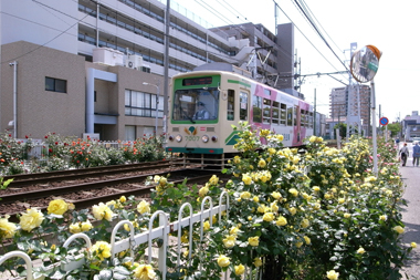 f:id:three_bee:20110515133348j:image f:id:three_bee:20110515133348j:image