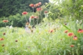 20120701203726