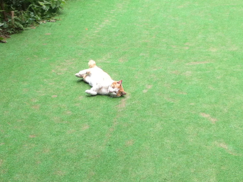f:id:three_bee:20120722143624j:image