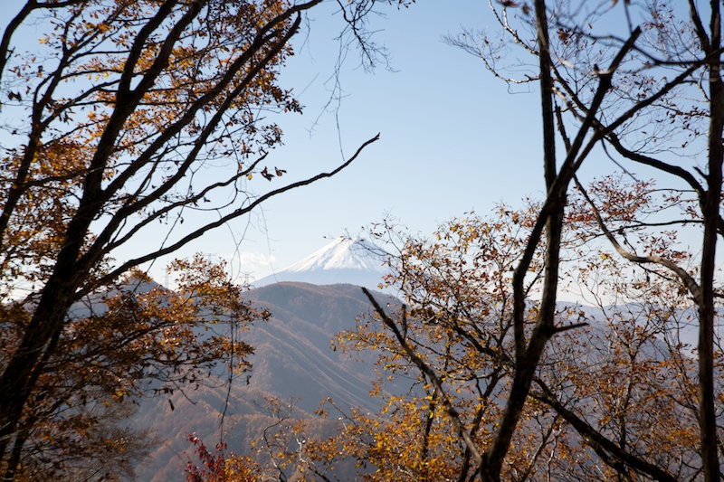 f:id:three_bee:20121112095954j:image f:id:three_bee:20121112095954j:image