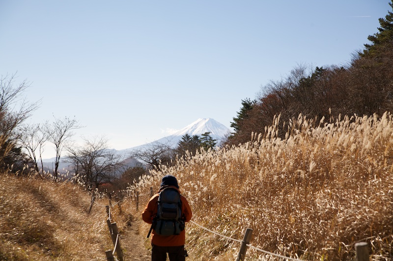f:id:three_bee:20121112095955j:image f:id:three_bee:20121112095955j:image
