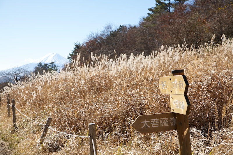 f:id:three_bee:20121112095956j:image f:id:three_bee:20121112095956j:image