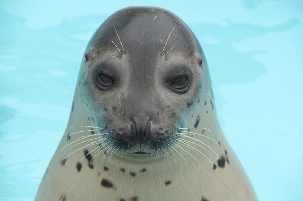 f:id:three_doors_down3111:20181212102452j:plain