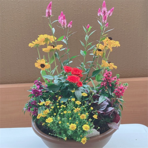 f:id:threeestyle:20210624095229j:image f:id:threeestyle:20210624095229j:image