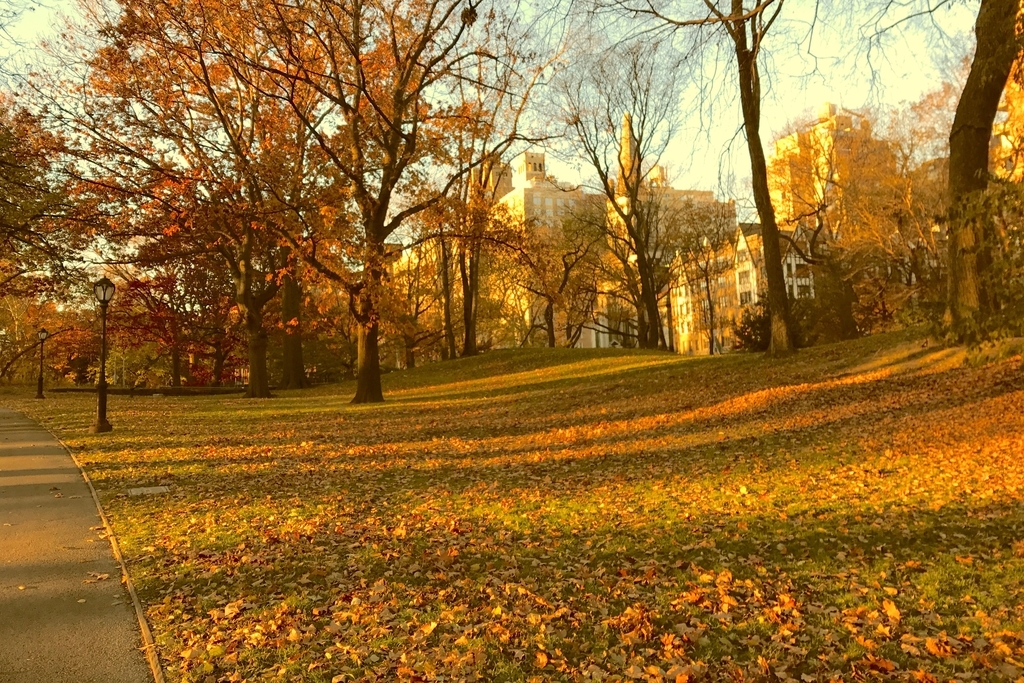 f:id:threefivethree:20181122073321j:plain