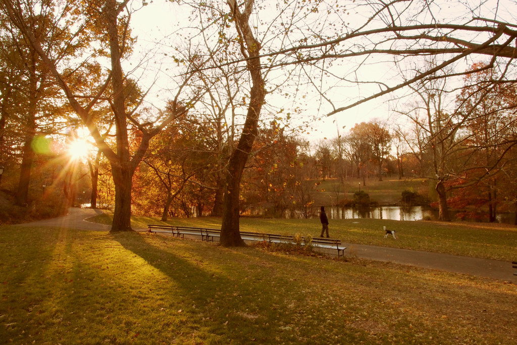 f:id:threefivethree:20181122212827j:plain